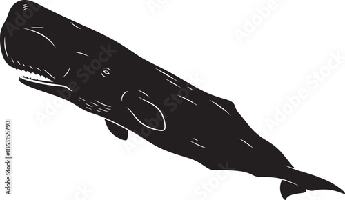 Silhouette of a killer whale jumping isolated on transparent background