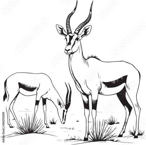 A wild stag silhouette vector illustration featuring a buck with large antlers standing in the forest as a symbol of nature and wildlife