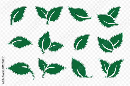 Green leaf natural icon set with corporate tree labels and botanical transparent elements