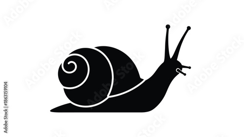 A dark snail design with a clearly defined spiral shell silhouette