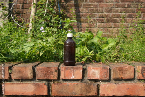 Brown Plastic Bottle on a Sunny Brick Wall with Greenery