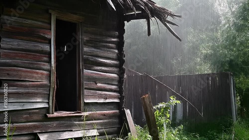 Old weathered log cabin in rainy rustic setting with overgrown vegetation