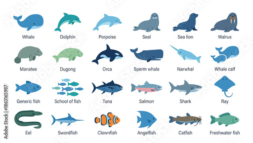 Marine Animals and Fish Species Collection with Names Educational Vector Illustration Set. EPS Editable
