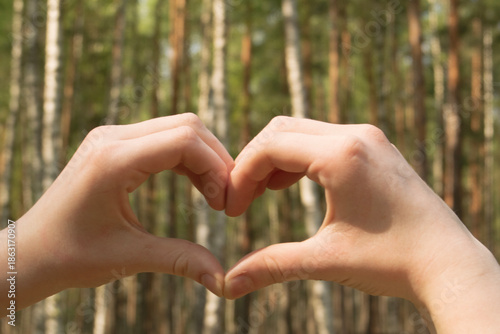 hands symbolically forming a heart against a natural background, a birch tree and a forest,