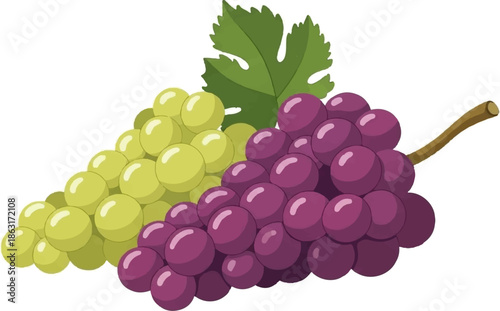Two bunches of grapes, one green, one purple, with a single leaf