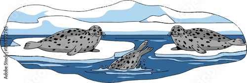 Three seals in icy waters, one diving, two resting on ice floes