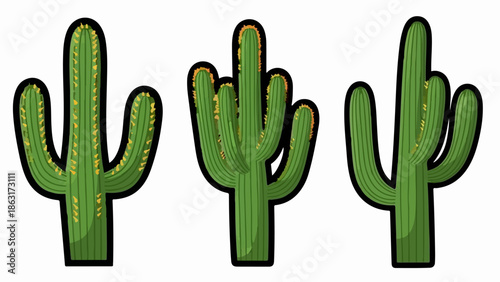Three stylized saguaro cacti of varying heights and arm configurations on a white background