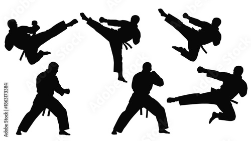 Martial artists in dynamic poses showcasing strength and agility silhouette
