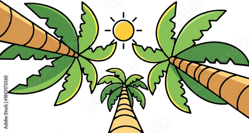 Sunny day with palm trees viewed from above