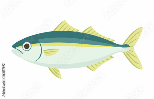 ブリのイラスト｜シンプルな魚のフラットデザイン