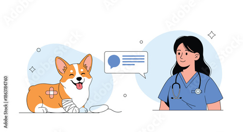 Female veterinarian in blue scrubs consulting about a cute corgi dog with a bandaged paw and medical patches.