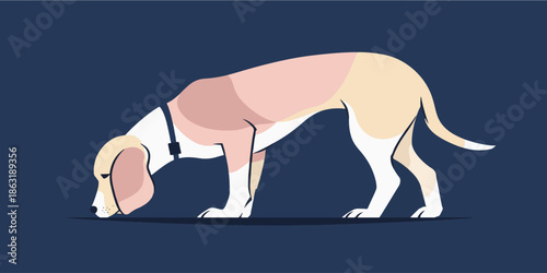 Vector illustration of a curious and attentive dog
