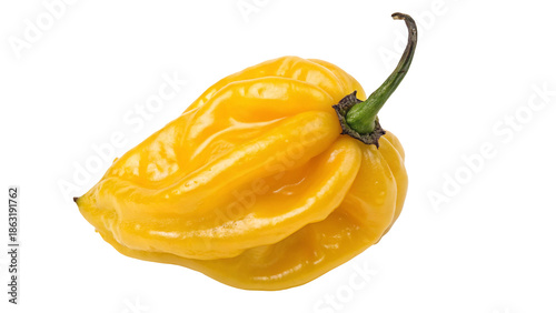 Vibrant yellow habanero pepper on black background