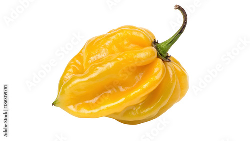 Vibrant yellow ghost pepper isolated on black background