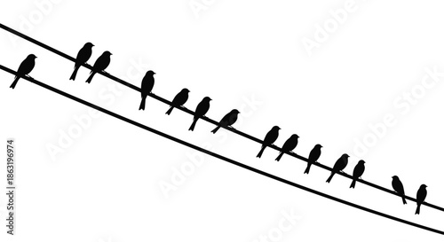 A simple yet elegant black silhouette of a flock of birds perched in a long line on two diagonal telephone wires against a white background.