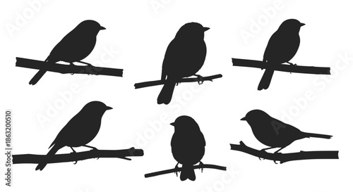 A set of six lovely silhouettes of small birds perched on tree branches in various natural poses.