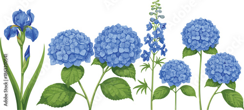 Set of elegant blue flower vectors including hydrangeas iris and delphinium with green leaves isolated on white background for wedding stationery and spring garden design