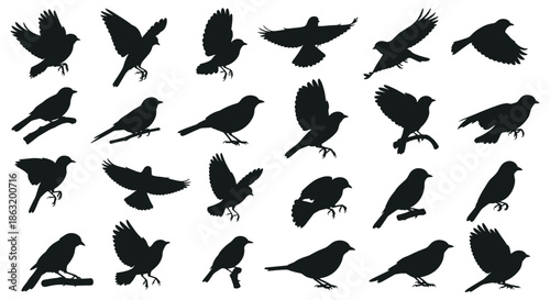 A very large and diverse collection of small songbird silhouettes in various flying perching and standing poses.