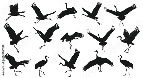 Large collection of detailed black silhouettes of crane birds in various graceful poses including flying dancing standing and landing.