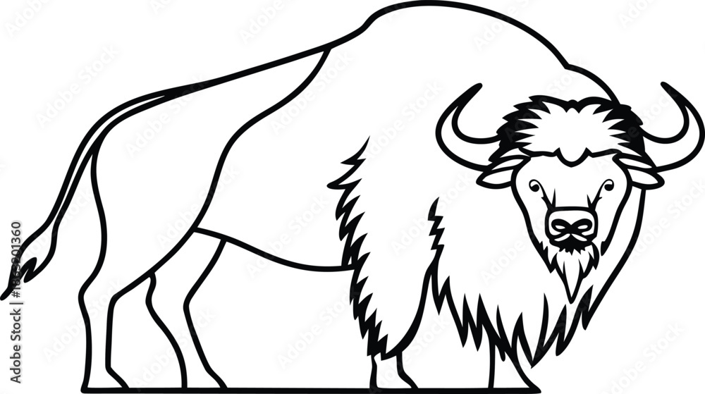 Obraz premium buffalo outline silhouette vector illustration 
