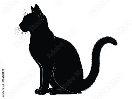 A sleek black cat silhouette sits in a relaxed attentive pose