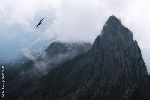 A cinematic shot of a jagged alpine peak piercing through mist, featuring a lone bird silhouette. Moody high-contrast atmosphere ideal for premium travel or outdoor gear branding