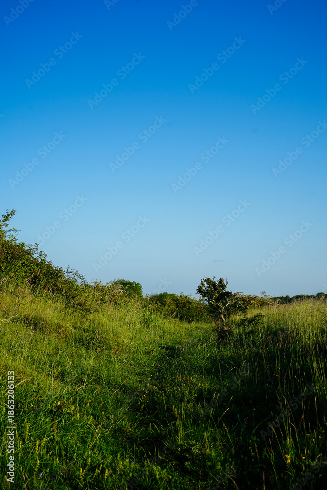 Obraz premium Footpath in the countryside woodland