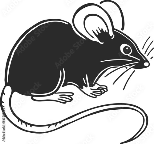 mouse wild animal silhouette vector illustration

