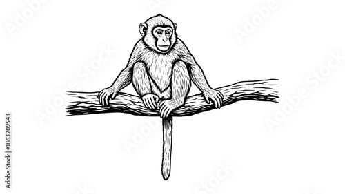 Monkey sitting on a tree branch, realistic vector illustration, detailed fur, natural anatomy, tropical wildlife animal, isolated on white background, clean lines, high detail, professional stock vect