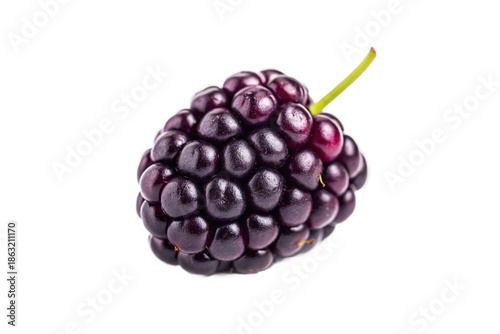 Single, plump blackberry isolated on white background