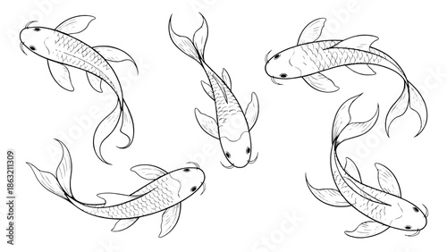 Five minimalist koi fish outlines in a circular formation, black line art vector illustration on white background, pond motif, simple linework