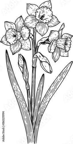 Elegant daffodil bouquet