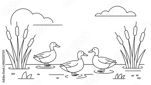 Three cute ducks swimming peacefully in a serene pond surrounded by tall cattails