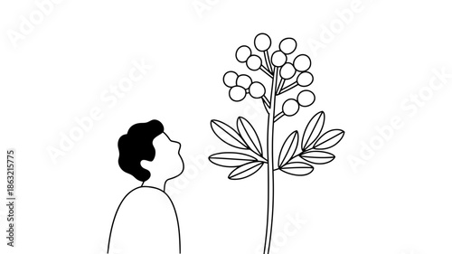 A minimalist illustration of a person observing a tall plant with round berries