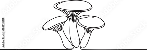 a-minimalist-line-drawing-of-three-oyste_Fbz-IxK2QGu9gqtN9uzrOQ_M88_8ujPTLWEYfFpyh-XKA_traced