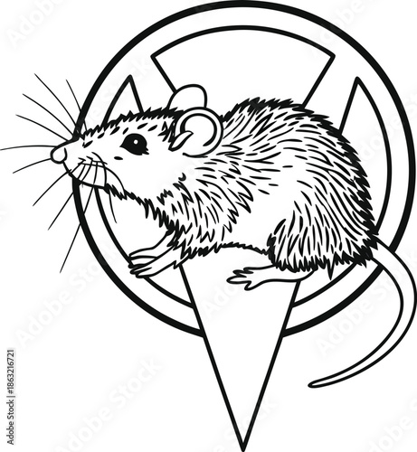 rat detailed silhouette vector illustration
