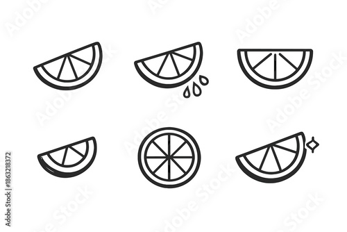 Citrus Fruit Slices Icons Set