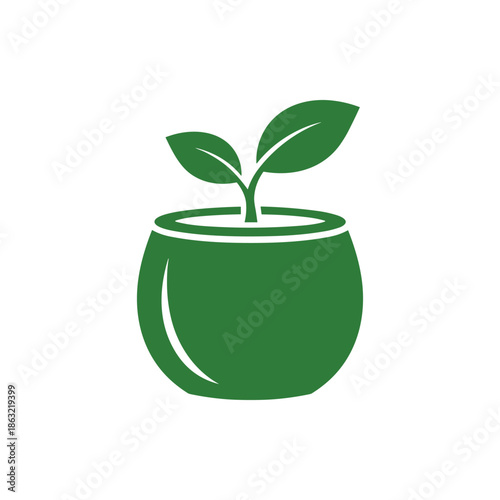 green sprout in pot