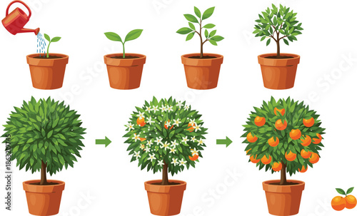 Flat vector illustration set of spring flowers in colorful pots featuring purple violets and bluebells isolated on white background for gardening and home decor.