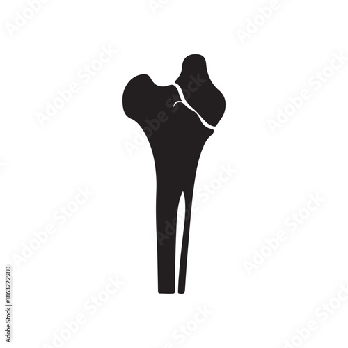 Human femur thigh bone silhouette icon vector illustration