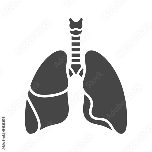 Human respiratory system diagram Vector