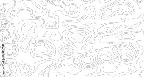 Topography background. Vector banner. Topography map background. Vector geographic contour map. Background of the topographic map.