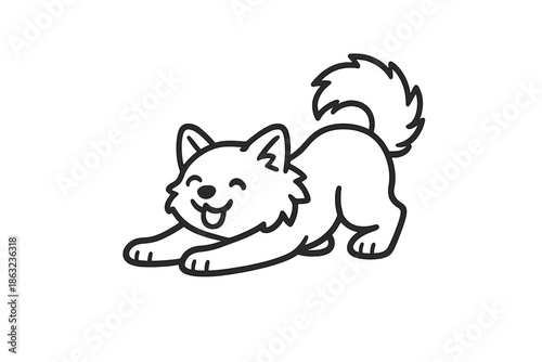 Cute Shiba Inu puppy in a play bow pose