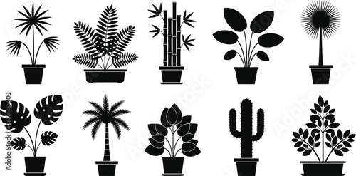 Silhouette Icons of Potted Plants Collection, Botanical Variety, Leaf Shapes, Indoor Decor, Black Vector Set, Nature, Garden Design