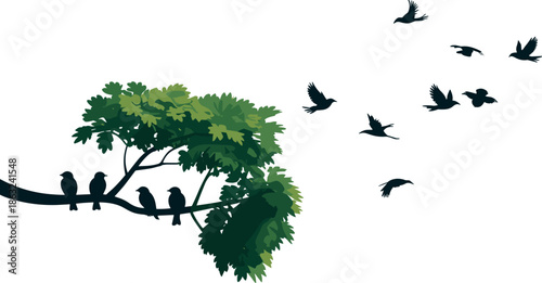 Silhouette illustration of birds flying away from a tree branch