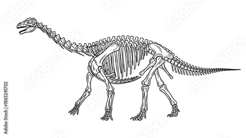 Dinosaur Skeleton Illustration: Full Body Osteology Diagram for Education, Science, and Museum Display