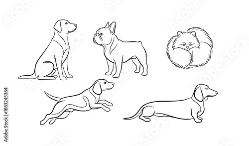 Minimalist dog line art vector set with abstract canine outlines for modern home decor and pet lovers