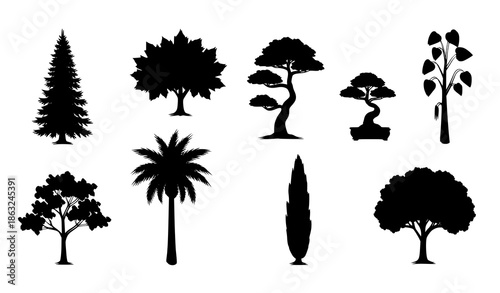 Unique tree silhouettes vector set with spruce, maple, bonsai, eucalyptus, palm, dogwood, cypress, and oak icons