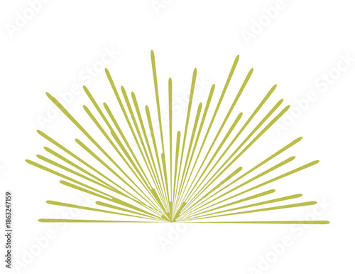 Golden half fireworks burst abstract background element isolated on white