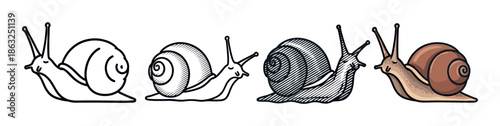 Set of four snail illustrations showing a progression of artistic styles from simple line art and hatching to a detailed engraving and a full color cartoon drawing